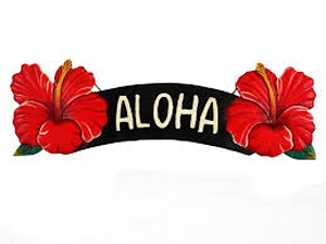 Aloha Red Hibiscus Sign 6x20